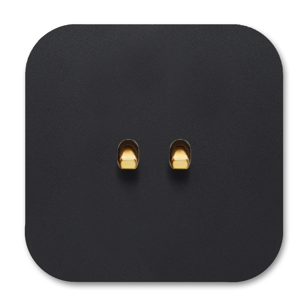 Retro-Lichtschalter Metall Schwarz matt 2-fach Gold-Kipphebel Vectis Cube Series