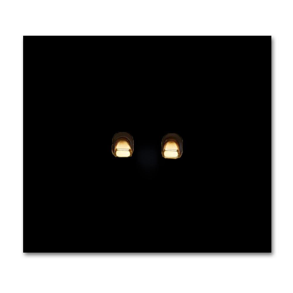 Retro-Lichtschalter Metall Schwarz matt 2-fach Gold-Kipphebel Vectis Square Series