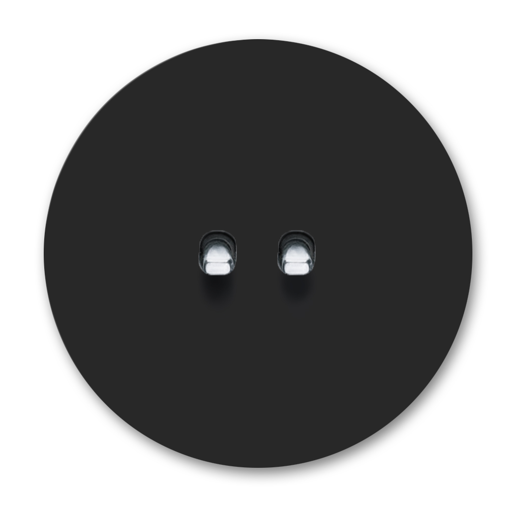 Retro Lichtschalter Metall matt Schwarz Chrom 2-fach Round Series