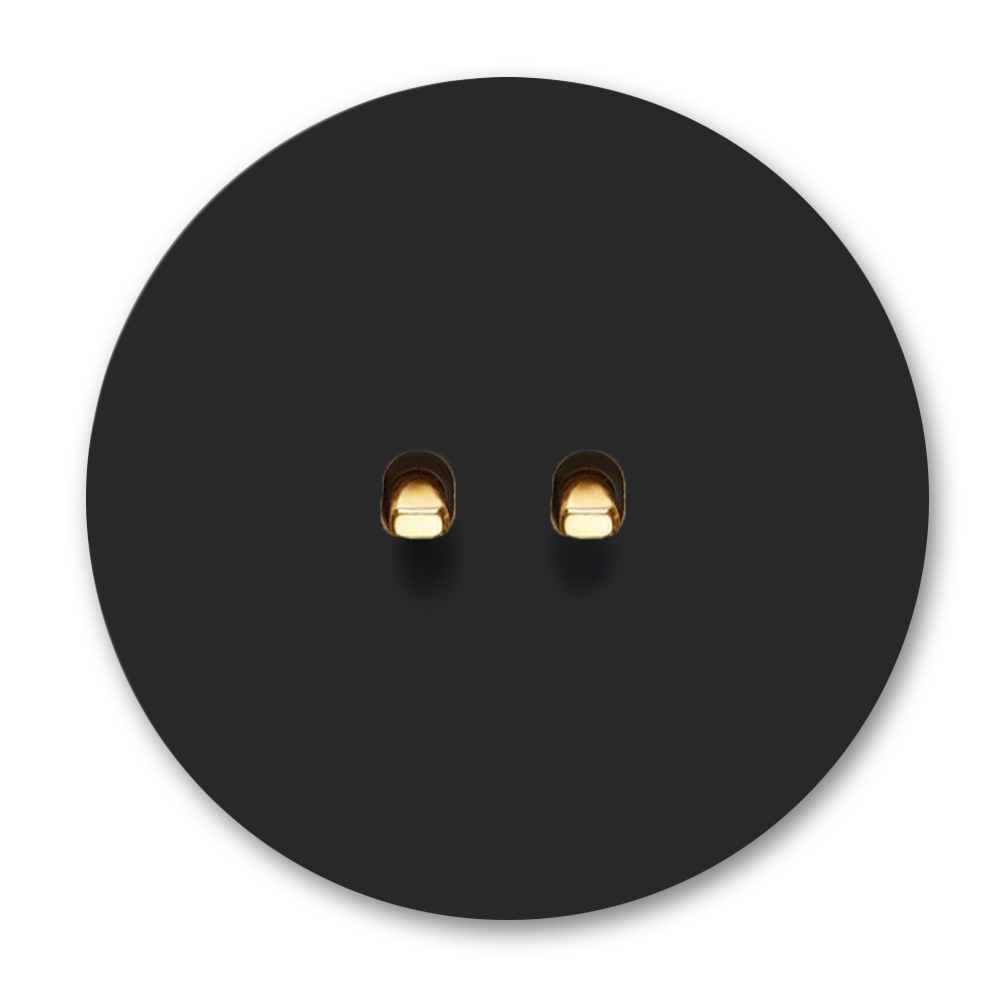 Retro-Lichtschalter Metall Schwarz matt 2-fach Gold Round Series